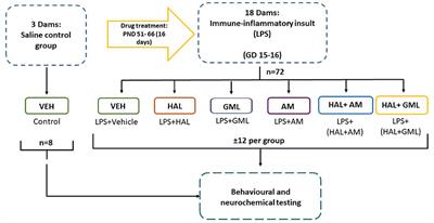 Studies on Haloperidol and Adjunctive α-Mangostin or Raw Garcinia mangostana Linn Pericarp on Bio-Behavioral Markers in an Immune-Inflammatory Model of Schizophrenia in Male Rats